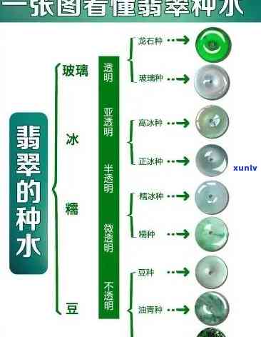 翡翠手镯种水分级全解：从低到高，你必须知道的等级划分与含义