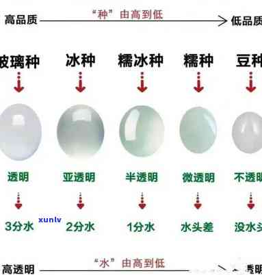 翡翠手镯种水分级全解：从低到高，你必须知道的等级划分与含义