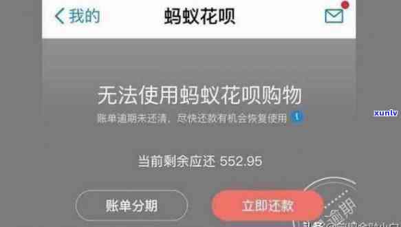 一站式信用卡逾期记录查询解决方案：全面了解信用状况、逾期详情及处理建议