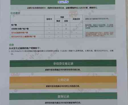 一站式信用卡逾期记录查询解决方案：全面了解信用状况、逾期详情及处理建议