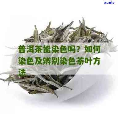 鉴别茶叶染色：真假对比实拍视频与图片教程