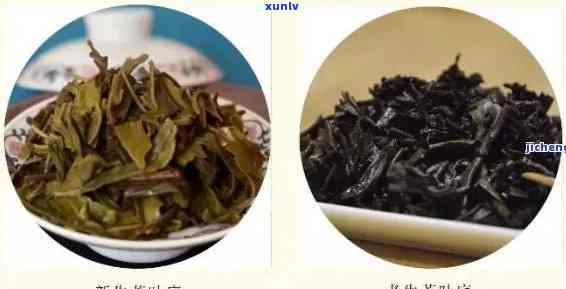 嫩茶叶和老茶叶成分-嫩茶叶和老茶叶成分一样吗