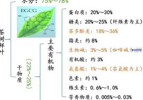 茶叶里面有什么成分和作用？详解茶叶中的营养物质与健功效