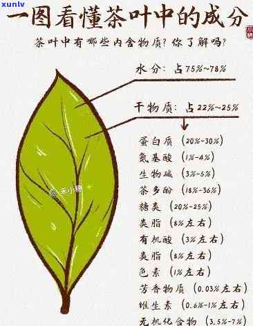 探究茶叶的化学主要成分：组成、性质与作用