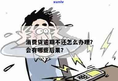 消费贷逾期几十块钱会有什么结果？怎样解决逾期情况？