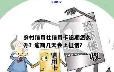 农村信用社逾期多久上吗，解答疑惑：农村信用社逾期多长时间会上？