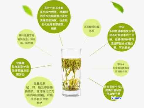 茶叶催芽素主要成分是，揭示茶叶催芽素的秘密：主要成分解析