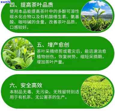 茶叶催芽素主要成分-茶叶催芽素主要成分是什么