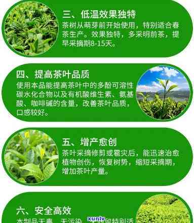 茶叶催芽素成分-茶叶催芽素主要成份