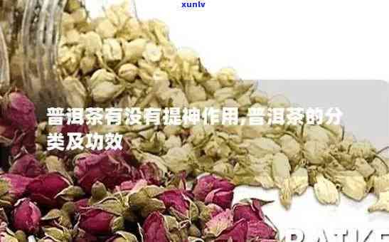 茶叶催芽素成分-茶叶催芽素主要成份