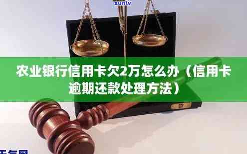 农村信用社逾期两万怎么办，怎样解决农村信用社两万元的逾期疑问？