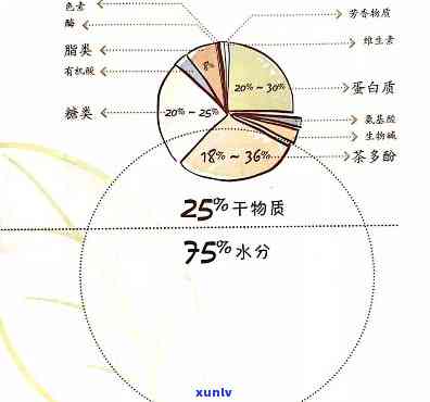 茶叶水的含量成分：解析其含义与所含成分