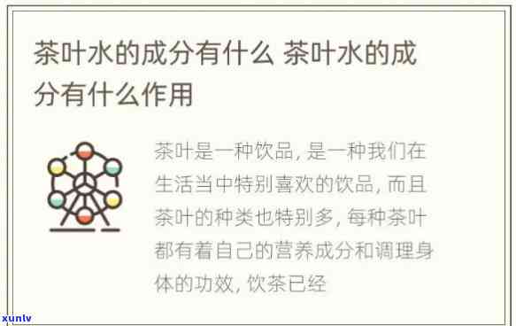 茶叶水的含量成分：解析其含义与所含成分