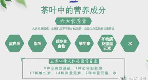 茶叶的保健功效成分是什么，揭示茶叶的神奇保健功效：关键成分解析