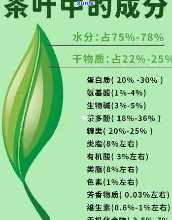 茶叶的营养成分与功效：详细解析