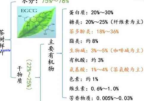 茶叶有多少种化学成分组成？深入了解茶叶的化学构成