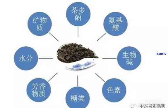 探究茶叶主要功能成分：种类与作用