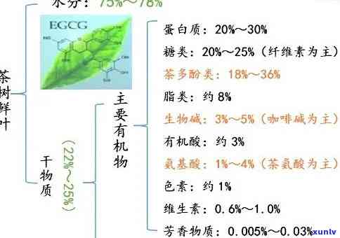 探究茶叶主要功能成分：种类与作用