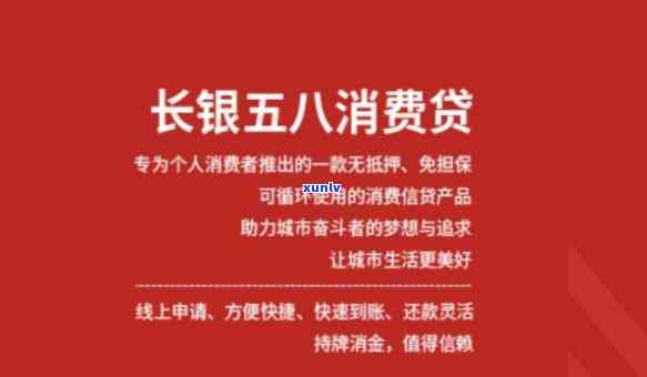 长银58消费贷请求，深入熟悉长银58消费贷的申请请求和条件