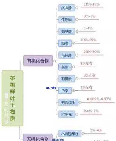 茶叶的三大重要成分及其特性，揭秘茶叶的三大重要成分：特性与作用解析