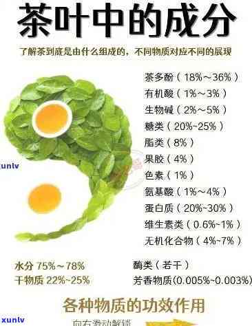 茶叶的主要药效成分-茶叶的主要药效成分是什么