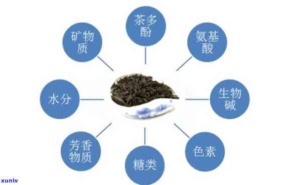 如何准确测定茶叶的成分含量及其高低