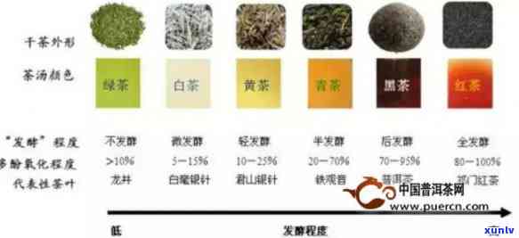 茶叶凉性和性区分是什么，解析茶叶的凉性和性：你所不知道的区别