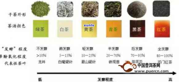 茶叶凉性和性区分图片，茶性解析：了解茶叶的凉性和性区别