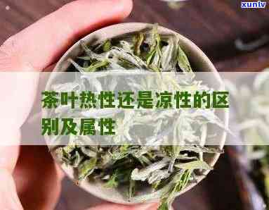 茶叶凉性和性区分图，解密茶叶性质：了解茶叶的凉性和性区别