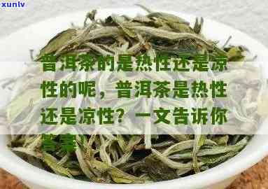 茶叶凉性吗，探讨茶叶的属性：它是凉性的吗？