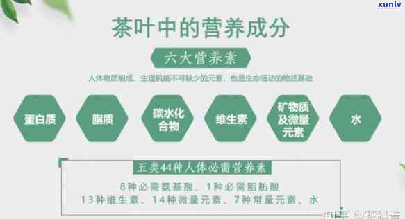 茶叶中主要化学成分及对其人体主要保健功效的研究与解析