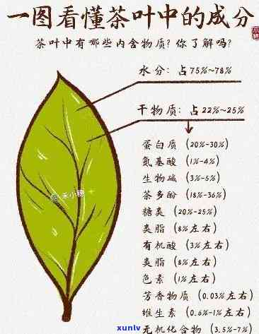 茶叶中主要化学成分-茶叶中主要化学成分有哪些