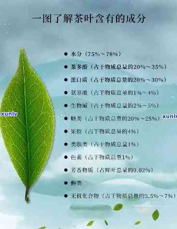 茶叶里面有哪些成分不能吃？深入了解茶叶中的有害物质与安全饮用提示