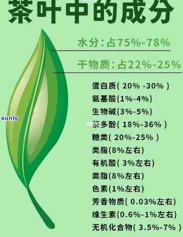 茶叶的主要化学成分-茶叶的主要化学成分及功能