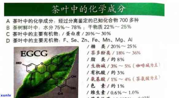 茶叶里面含什么成分最多，揭秘茶叶：哪种成分含量更高？