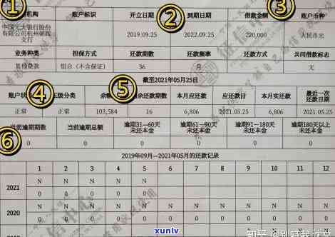 众安杏仁派采用疑问：无法打开、评价及是不是上？