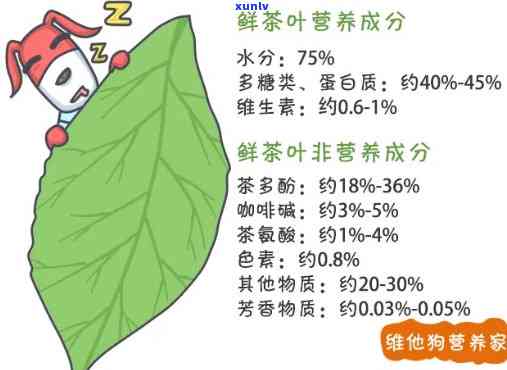 探究茶叶中的营养成分：种类、含量全揭秘