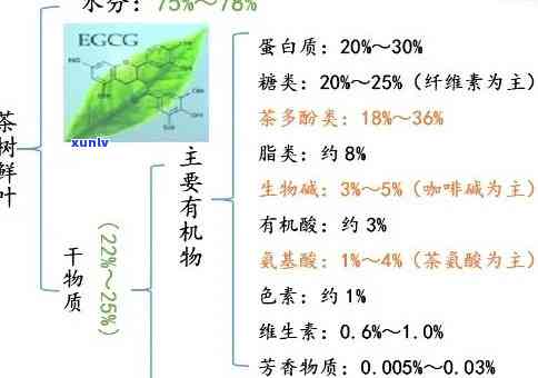 茶叶中主要化学成分：详细解析与图片展示