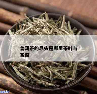 茶叶茶头是哪一部分的，解答疑惑：茶叶茶头究竟是指茶叶的哪一部分？