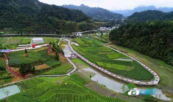 湖北利川毛坝红茶城，【茶旅融合】湖北利川毛坝：小小茶叶铺就乡村振兴路