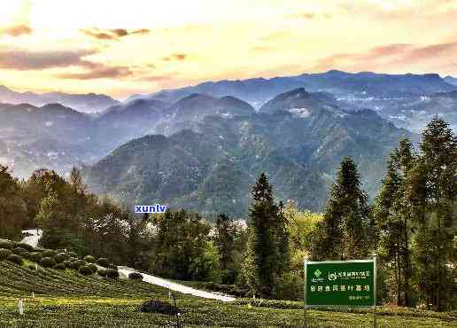 湖北利川毛坝红茶城，【茶旅融合】湖北利川毛坝：小小茶叶铺就乡村振兴路