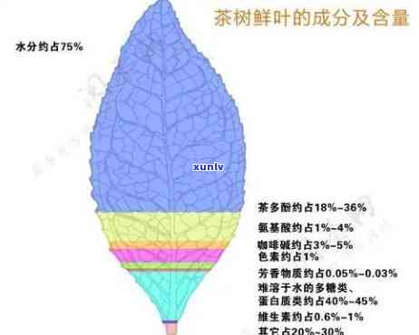 从茶叶中提取茶多酚实验报告：  、结果与思考