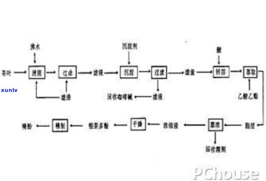 从茶叶中提取茶多酚的工艺流程解析与图解