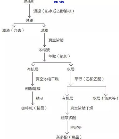 从茶叶中提取茶多酚的工艺流程解析与图解