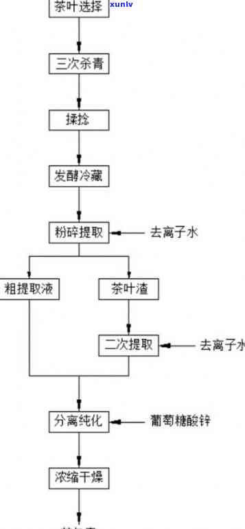 从茶叶中提取茶多酚的工艺流程解析与图解