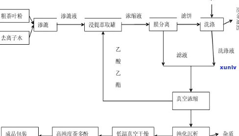 从茶叶中提取茶多酚的工艺流程解析与图解