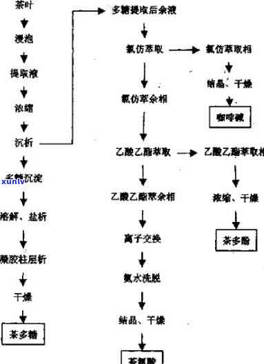 从茶叶中提取茶多酚为什么用氯仿萃取，氯仿萃取：揭秘从茶叶中提取茶多酚的奥秘