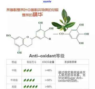 从茶叶中提取茶多酚为什么用氯仿萃取，氯仿萃取：揭秘从茶叶中提取茶多酚的奥秘