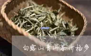 山露茶叶有白色-山露茶叶有白色的吗