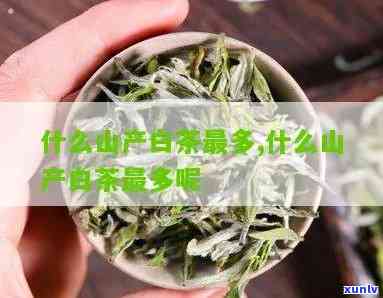 山露茶叶有白色-山露茶叶有白色的吗